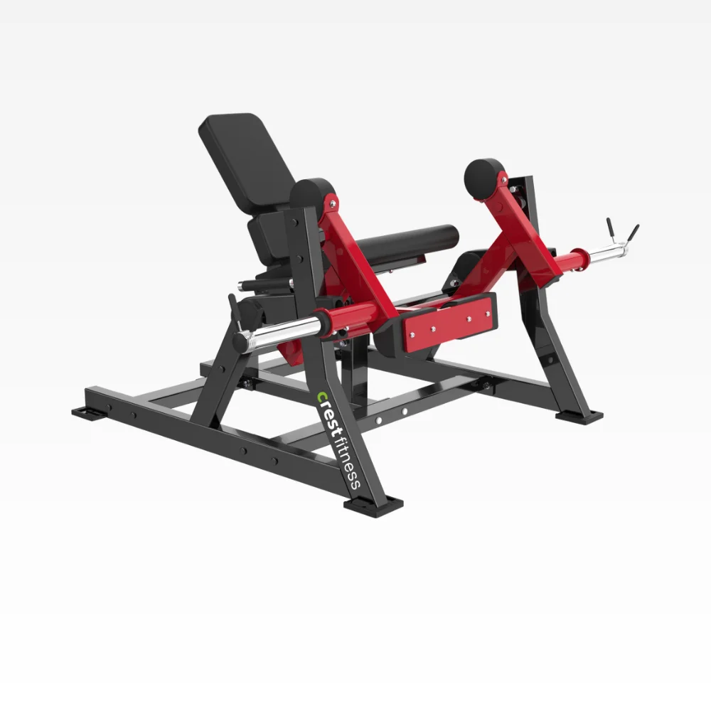 Seated Leg Extension Is 15