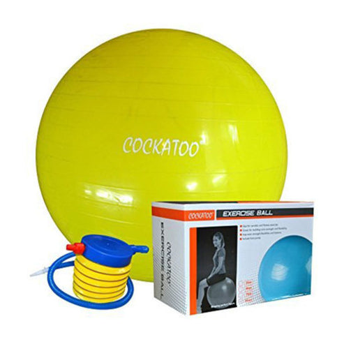 Gym Ball - 85 Cms. | Cockatoo