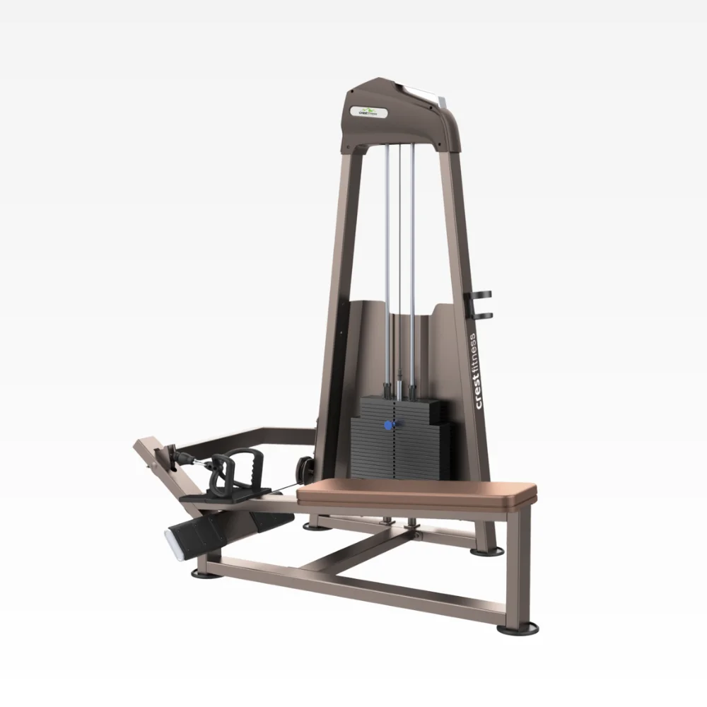 Seated Horizontal Pulley GL 10
