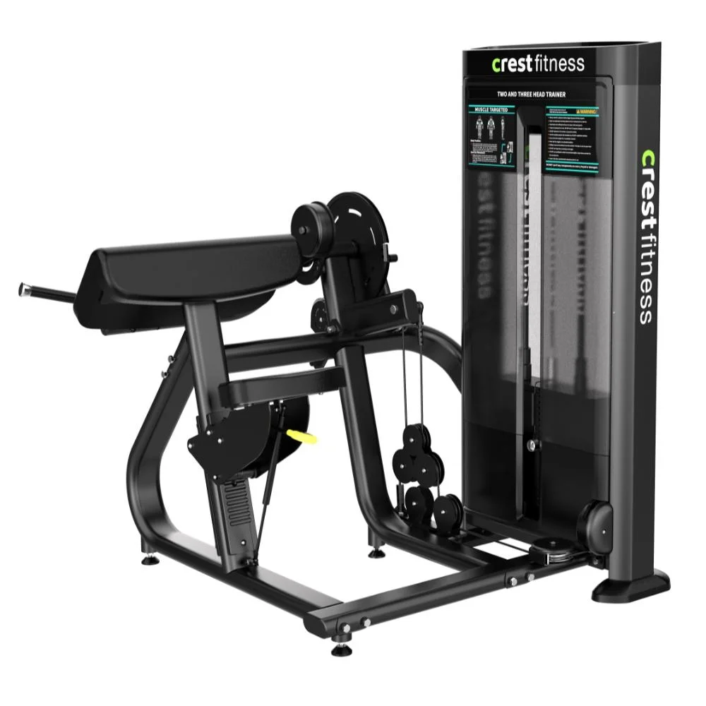 Bicep Curl + Tricep Extension