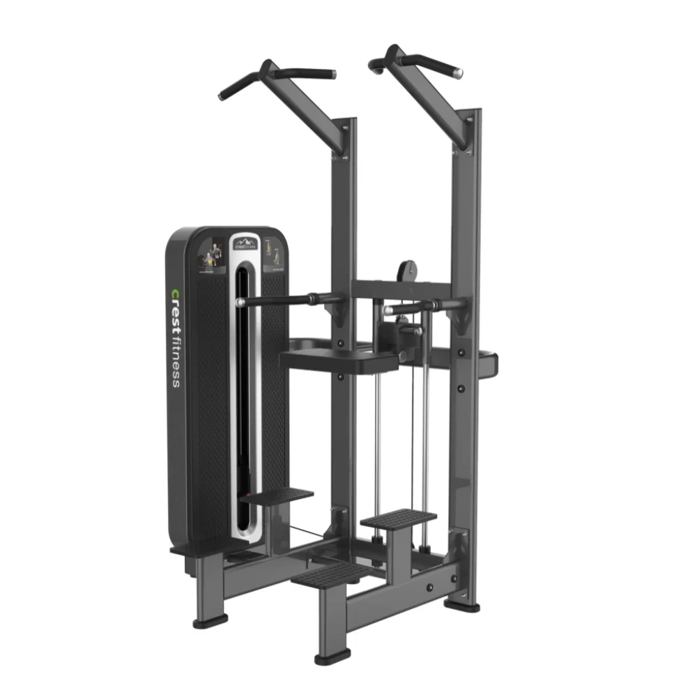 Weight Assisted Chin + Dip