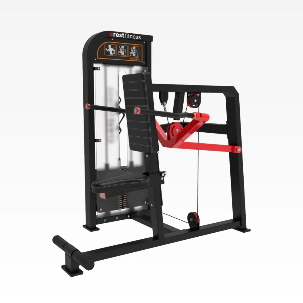 Triceps Press ED 10