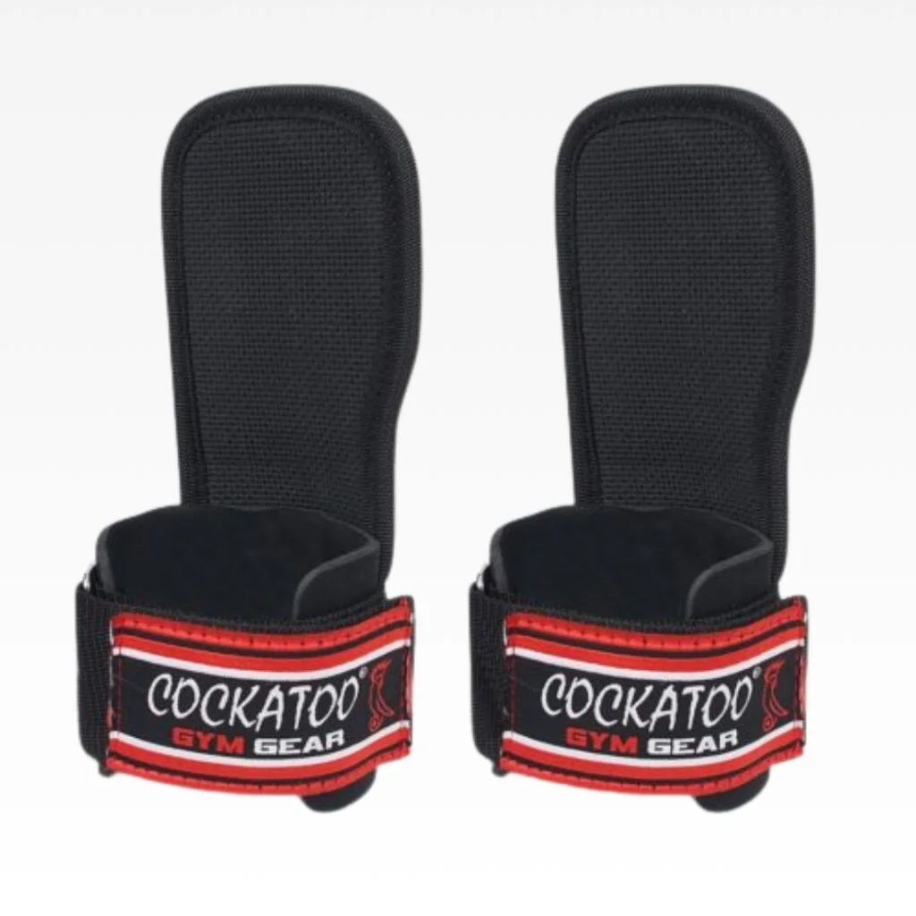Lifting Gripper
