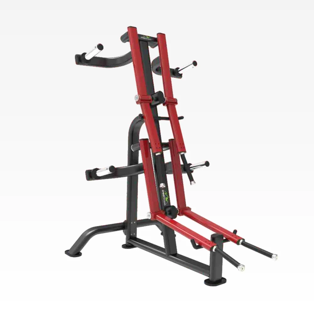 Standing Lateral Raise