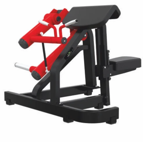 Pro Series Biceps Curl | Cockatoo