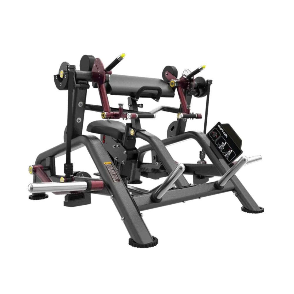 Biceps Curl