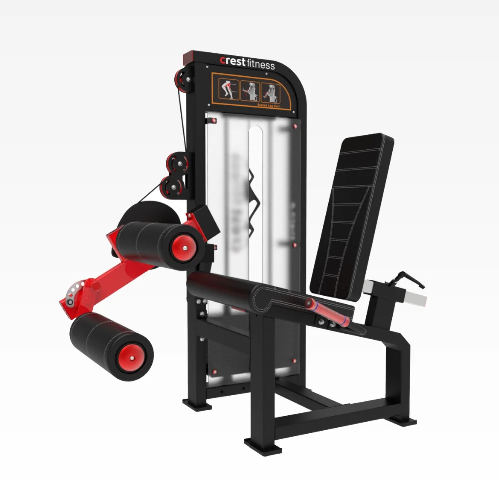Seated Leg Curl ED 13