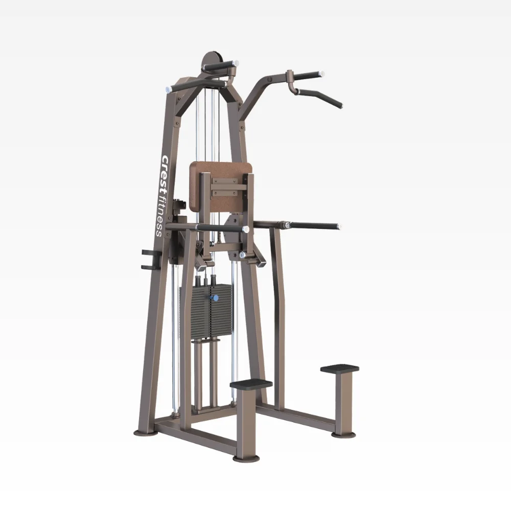 Weight Assisted Chin + Dip Gl 07