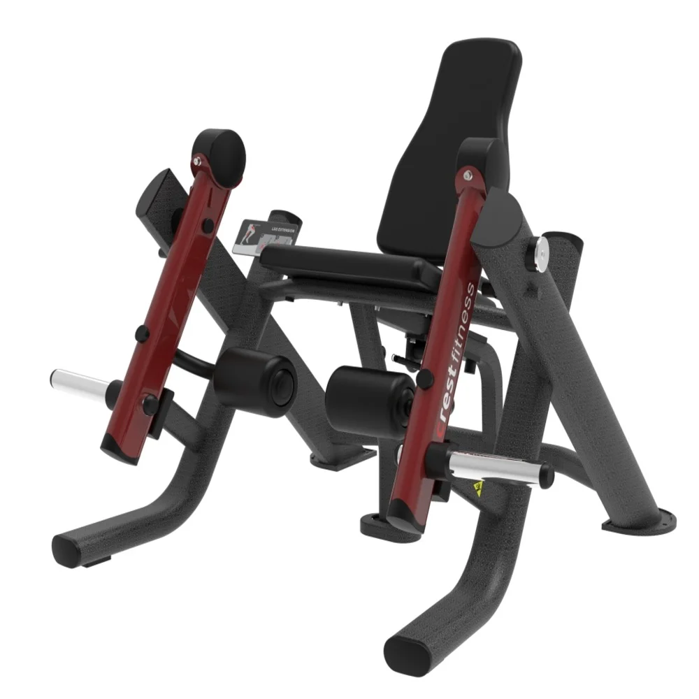 Leg Extension