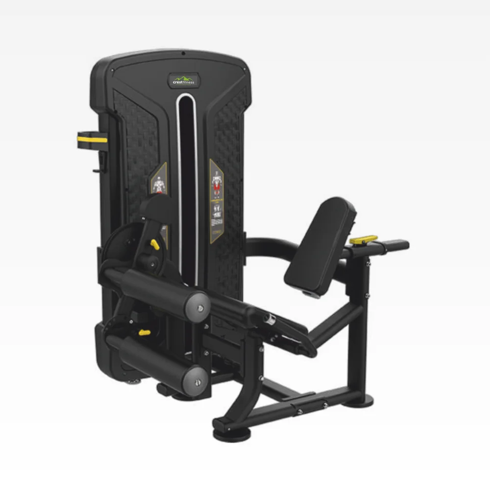 Leg Curl + Leg Extension FS 02
