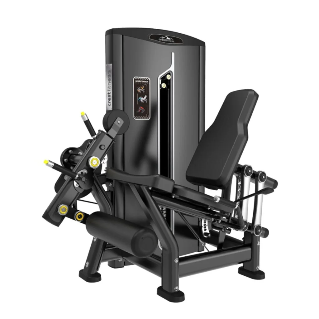 Leg Extension