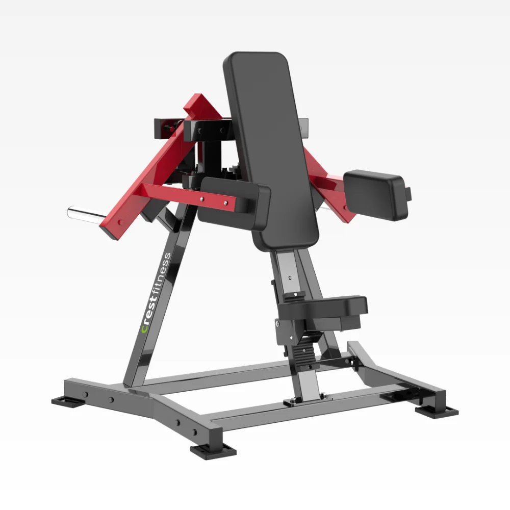 Lateral Raise Is 23