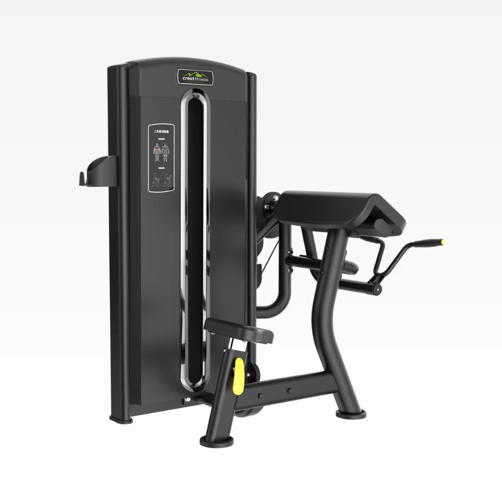 Biceps Curl AL 10