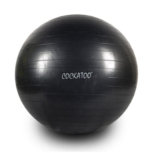 Gym Ball - 95 Cms. | Cockatoo