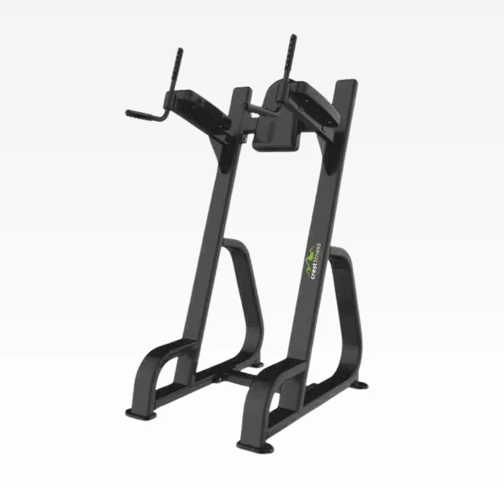 Vertical Knee Raise 2.0