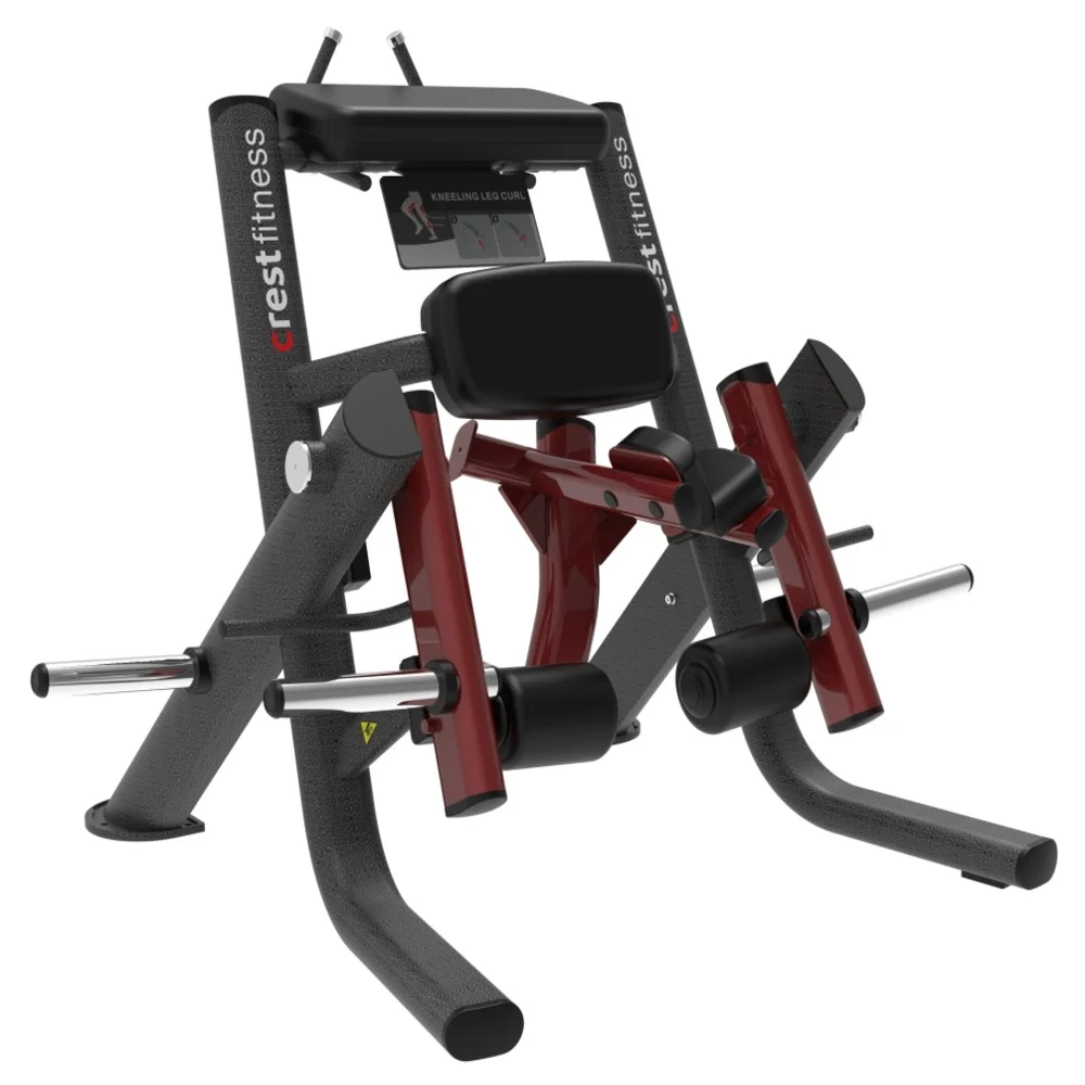 Kneeling Leg Curl