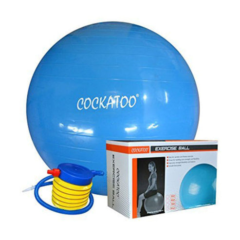 Gym Ball - 75 Cms. | Cockatoo