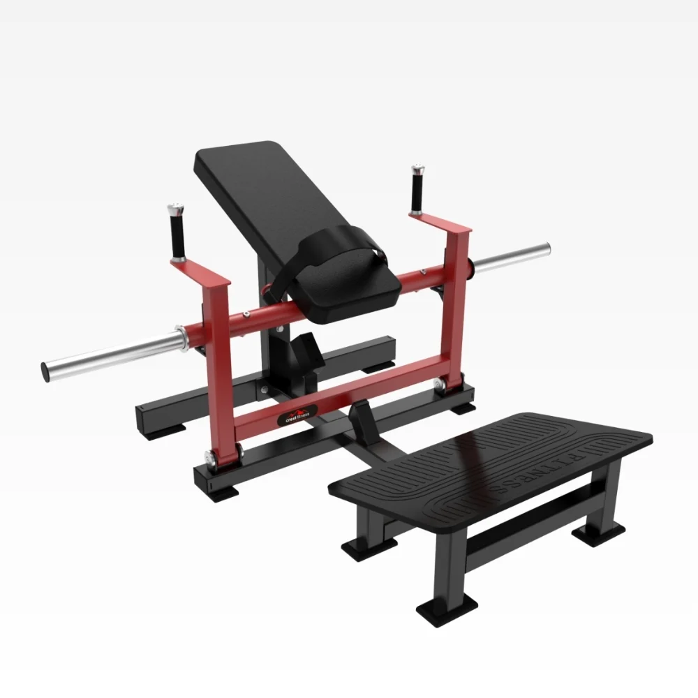 Hip Thrust
