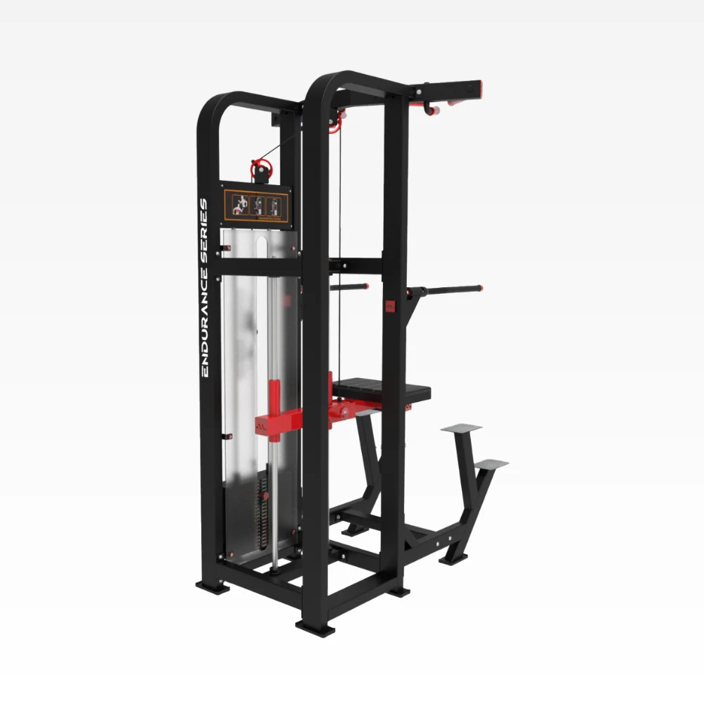Weight Assisted Chin Dip ED 07