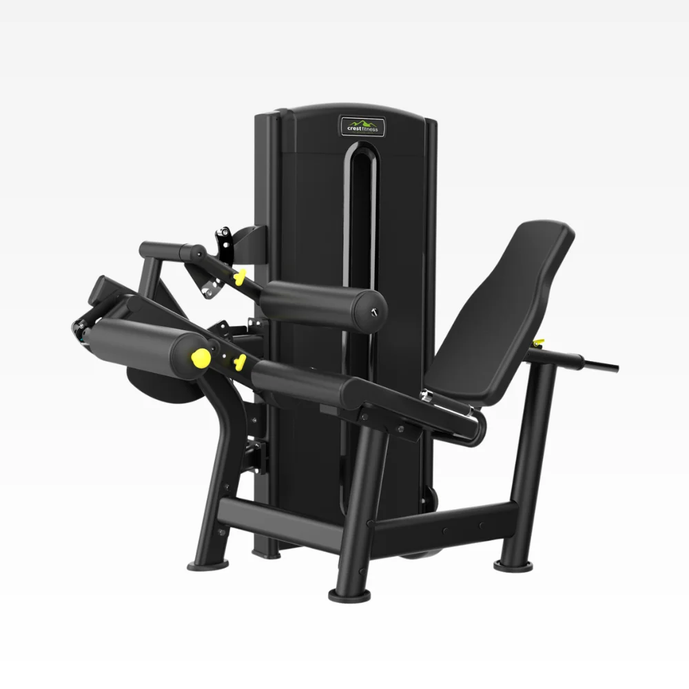 Leg Curl Leg Extension AL 02