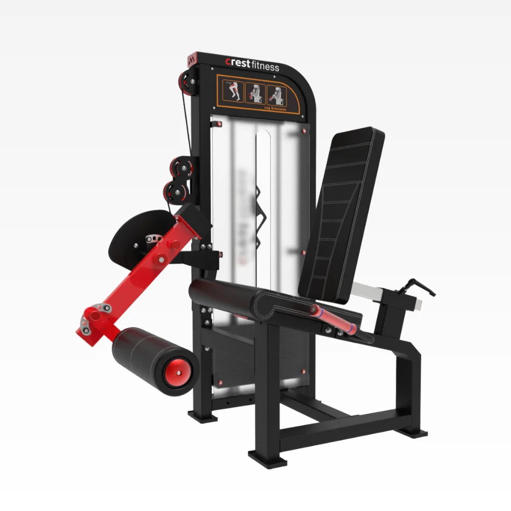 Leg Extension ED 15