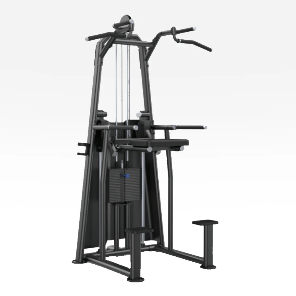Weight Assisted Chin Dip