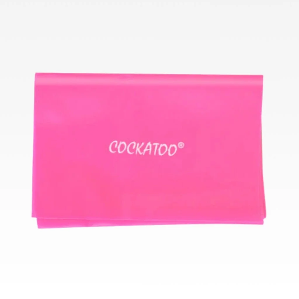 Exercise Band – Light