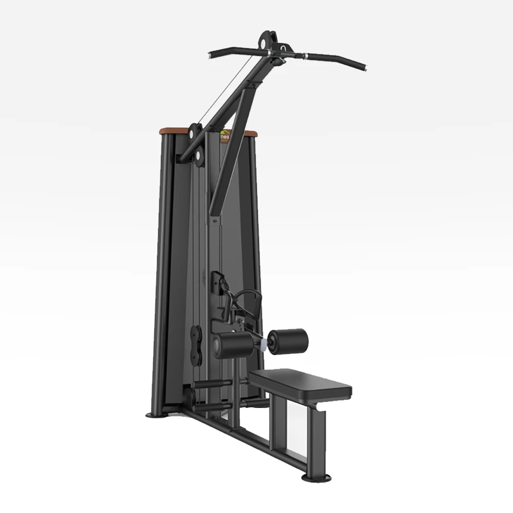 Lat Pulldown / Low Row