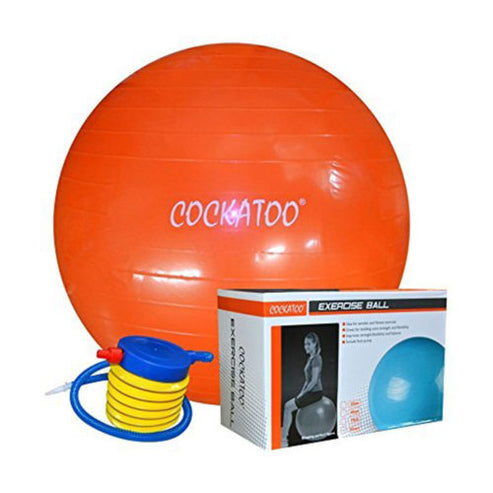 Gym Ball - 55 Cms. | Cockatoo