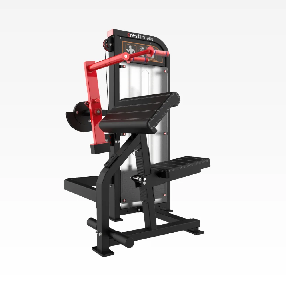 Biceps Curl ED 09