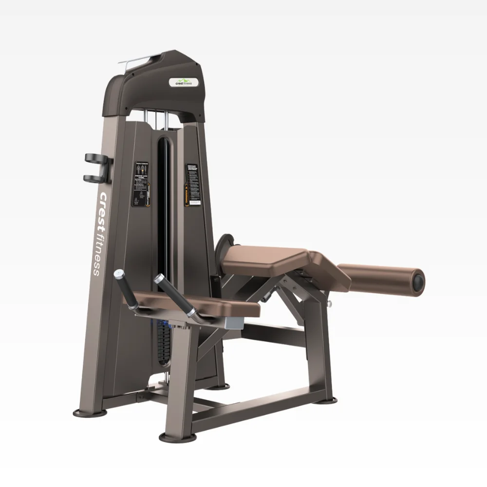 Horizontal Prone Leg Curl Gl 12