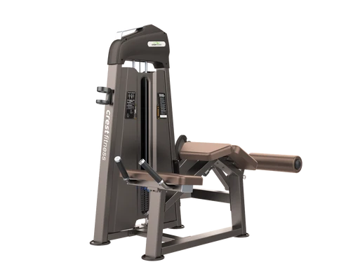 Galaxy Series Prone Leg Curl | Cockatoo
