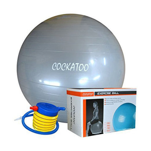 Gym Ball - 65 Cms. | Cockatoo